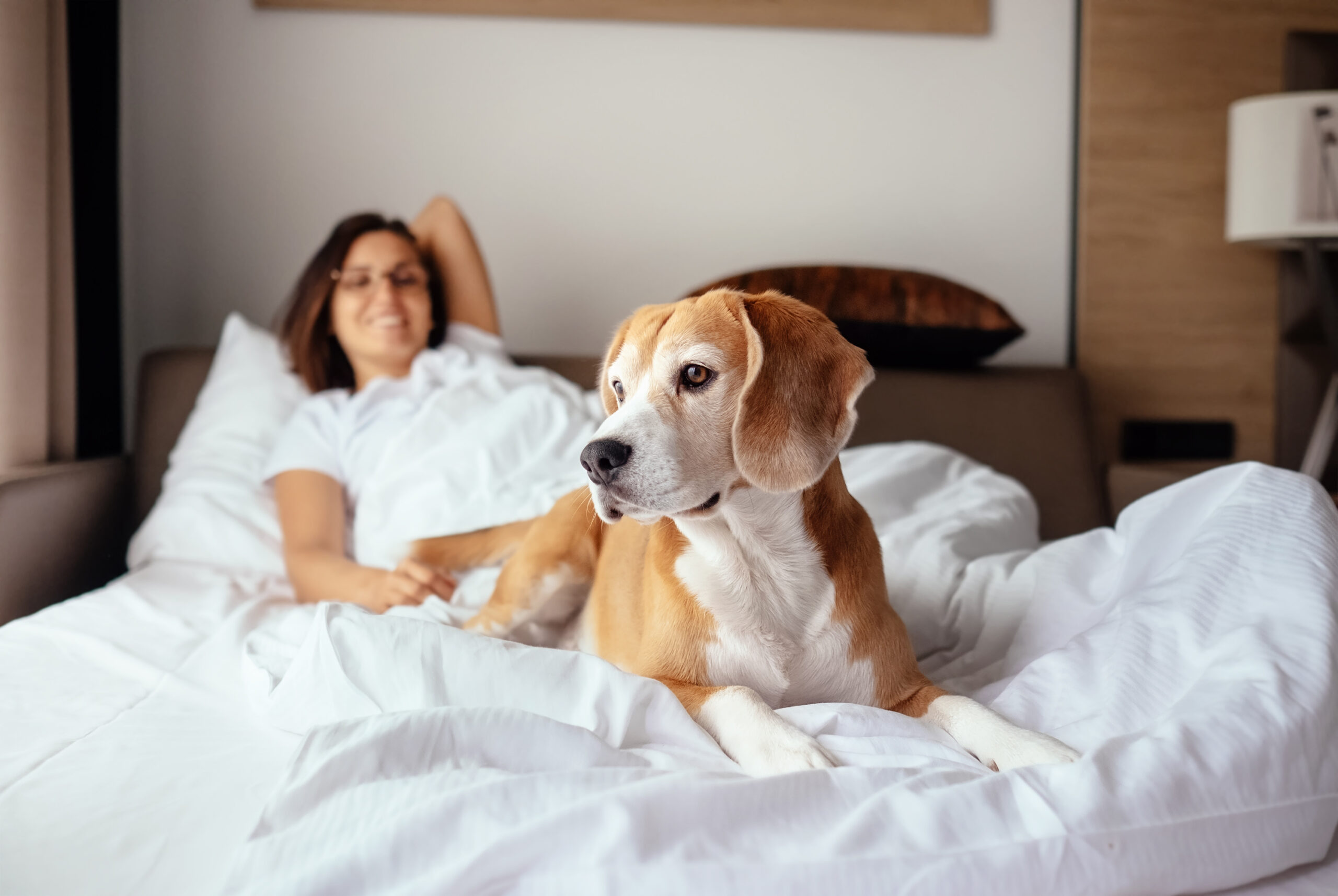 uma mulher deitada na cama com seu cachorro